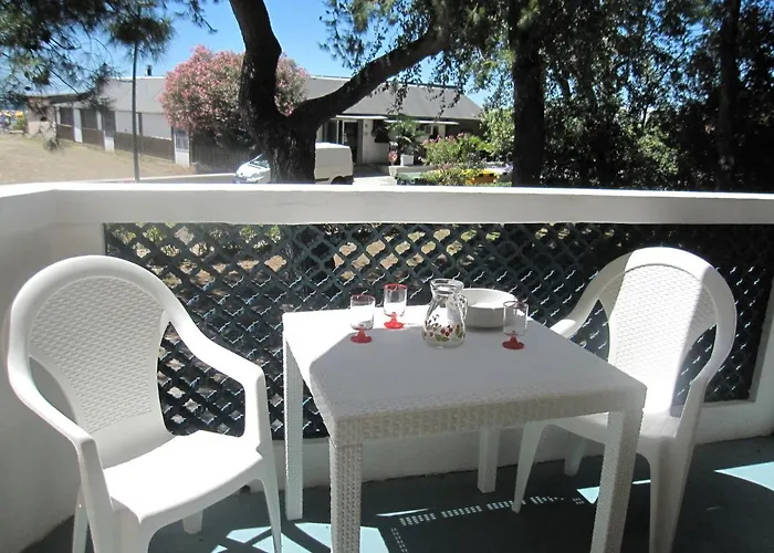 Pineta Lovable Seaview Apartment